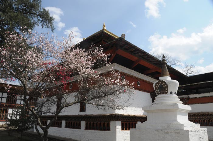 mar18-kyichu-lhakhang-0905
