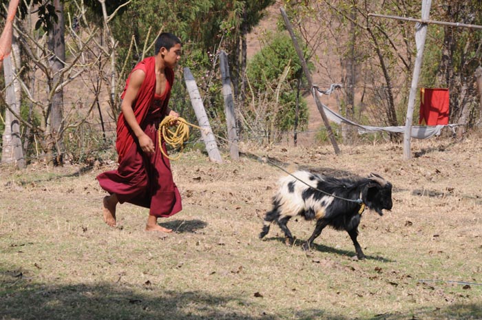 mar20-chimi-lhakhang-1200