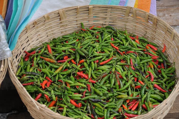 mar21-chili-national-di#8AA