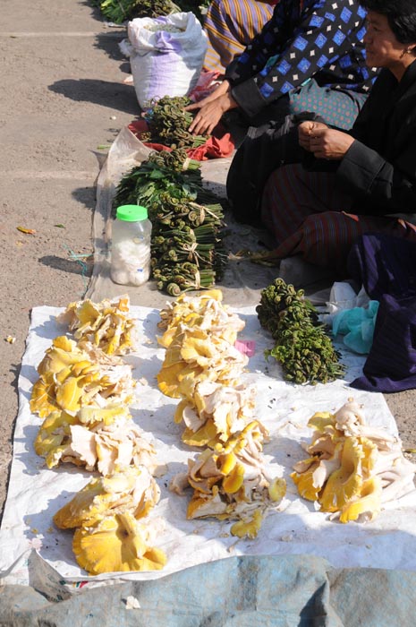 mar22-market-produce-wa#8B5