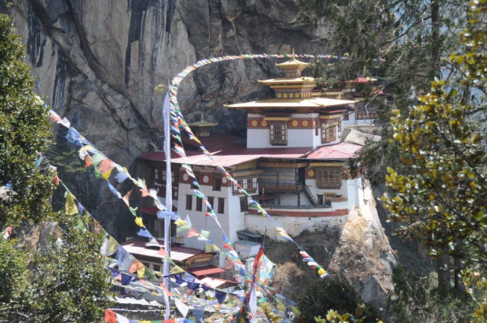 mar24-tigers-nest-1854