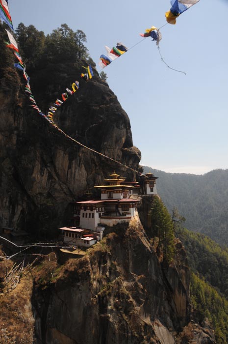 mar24-tigers-nest-1859