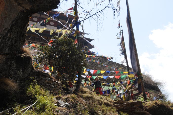 mar24-tigers-nest-1892