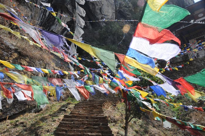 mar24-tigers-nest-1895