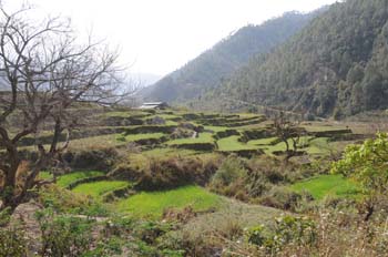 mar19-bhutan-fields-0973