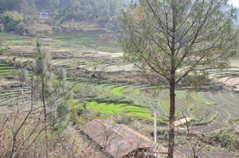 mar19-bhutan-fields-0980