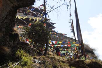 mar24-tigers-nest-1892